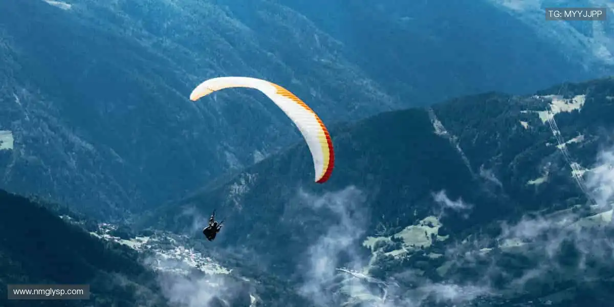 📱实时直播，一键解锁赛场心跳！